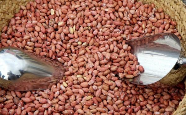 is peanuts salted healthy?