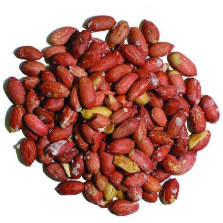 peanuts salted bulk suppliers