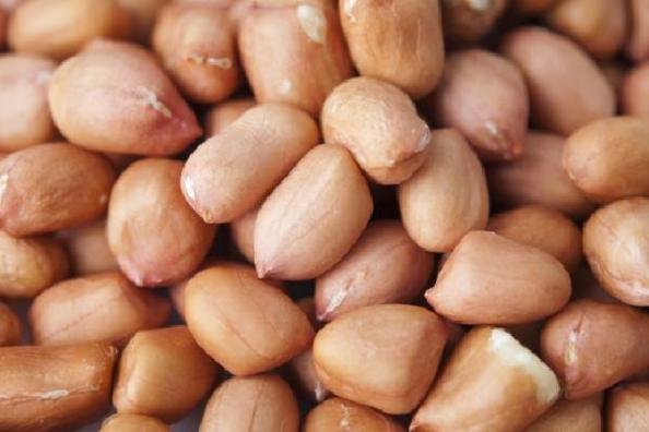 best roasted peanuts on market