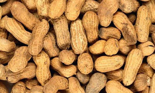 raw peanuts distributors in Asia