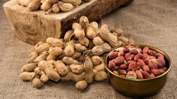 raw peanuts trade on sale in 2021