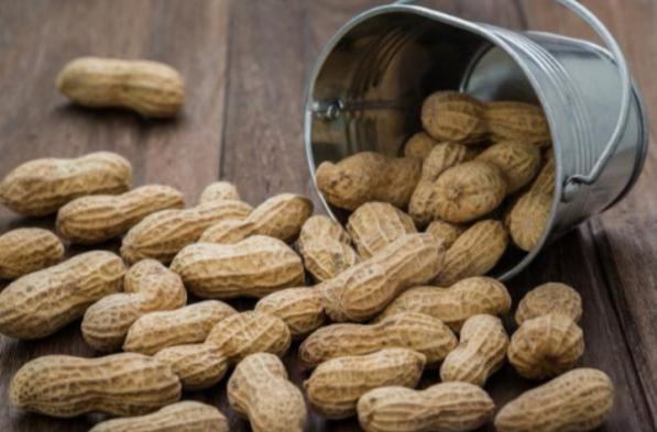 buy peanuts salted from wholesalers in Asia
