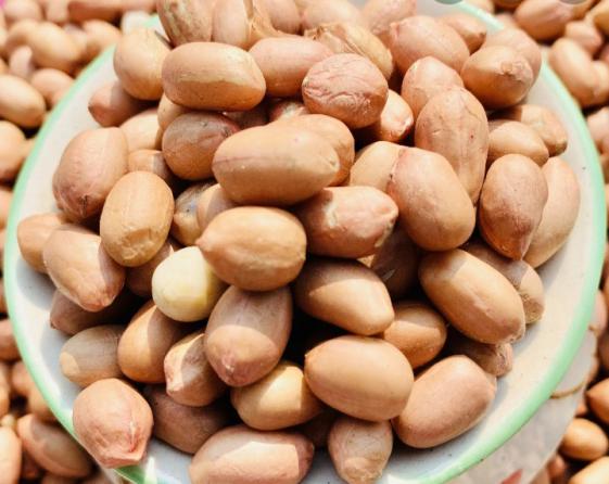 buy raw peanuts from traders