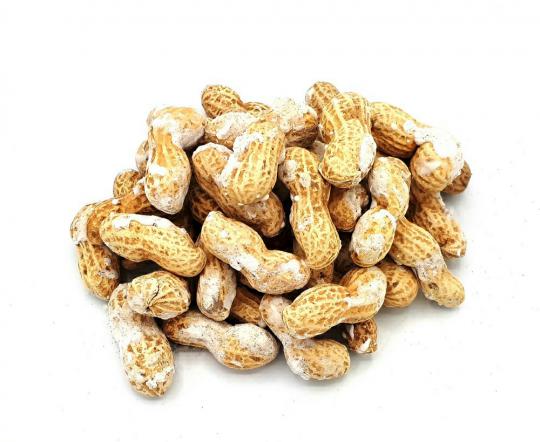 peanuts salted wholesalers around world