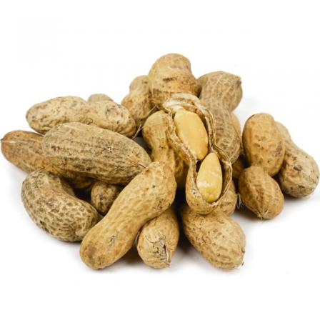 roasted peanuts unsalted type traders