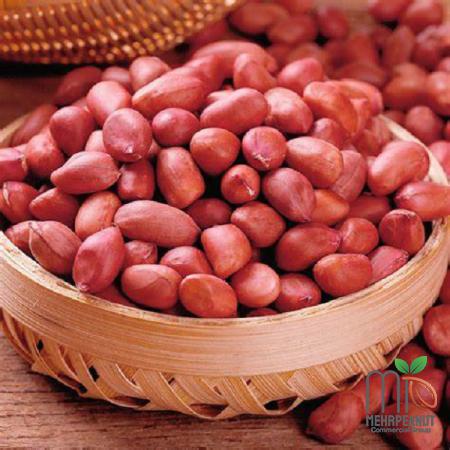 Raw Red Peanuts Are a Good Source of Fiber 