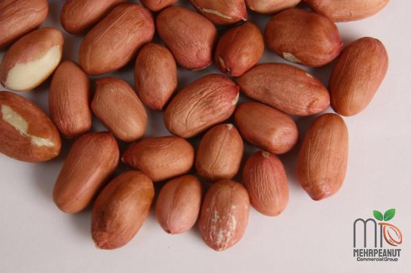 Soft and Raw Peanuts Are Easy to Chew