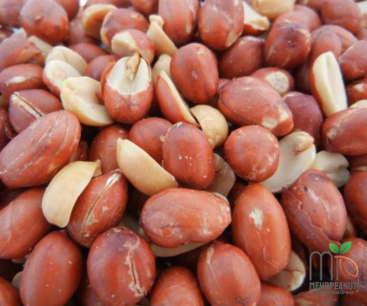 Red Raw Peanuts to Export 