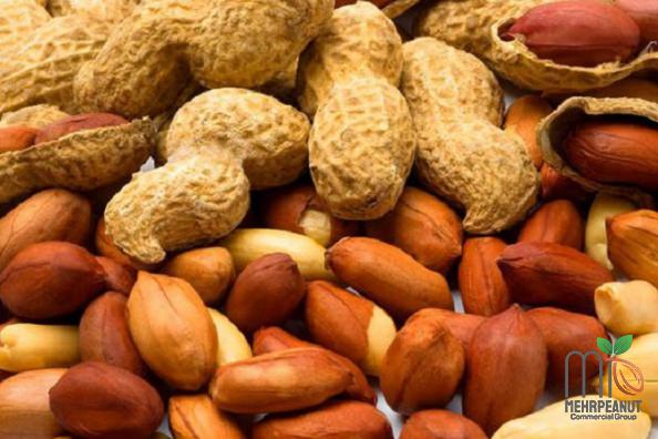 3 Amazing Types of Delicious Peanuts to Eat 