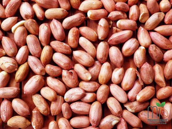  Best Peanuts Supplying Widely 