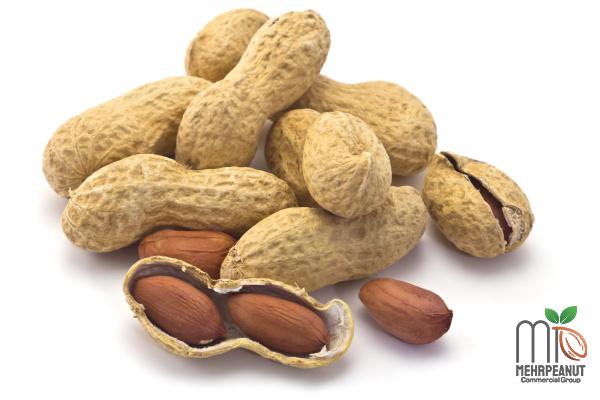 The Best Effects of Peanuts on Females 