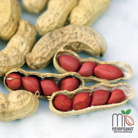  5 Main Factors Fresh Peanuts Benefits