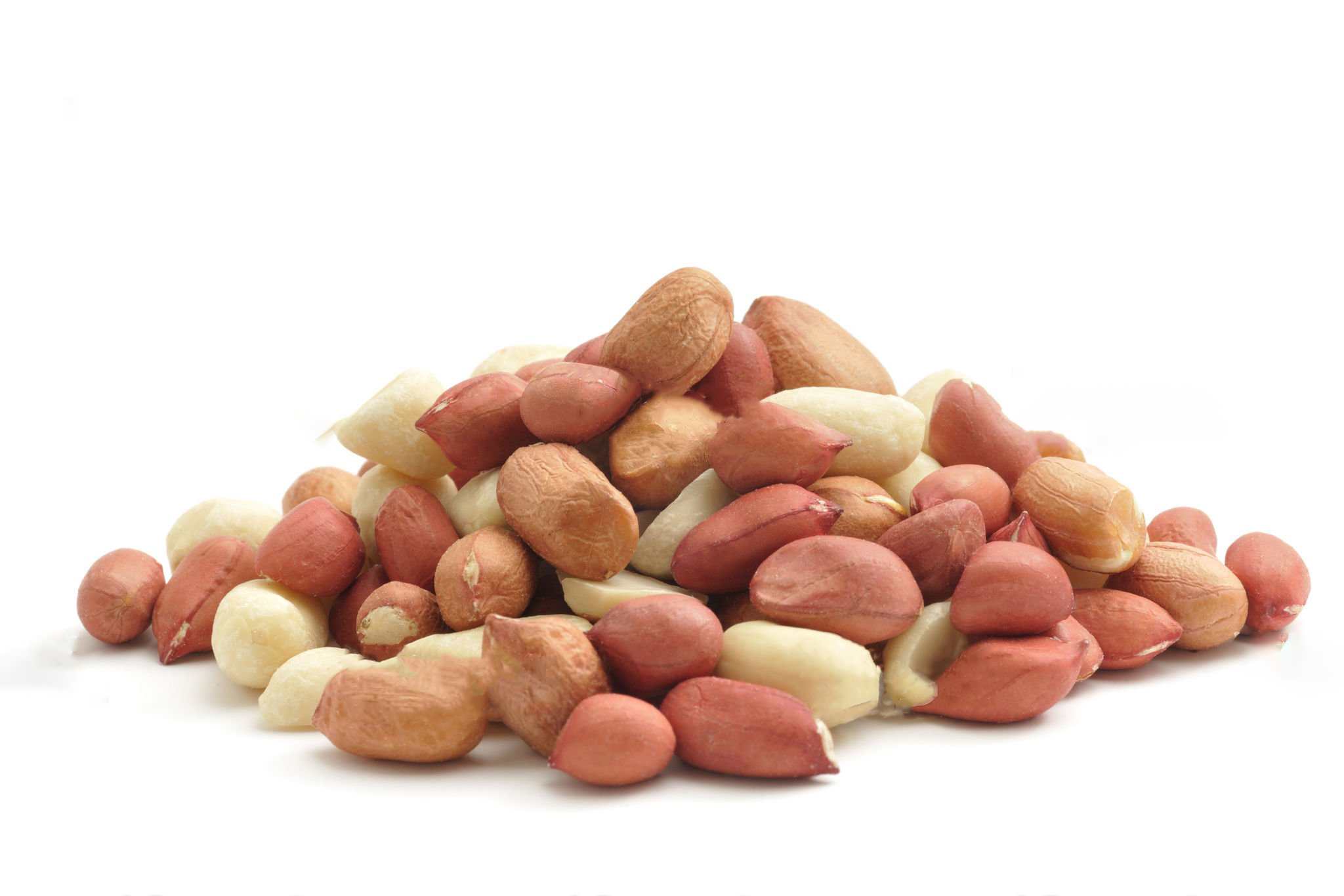 Shelled Peanuts Direct Supply