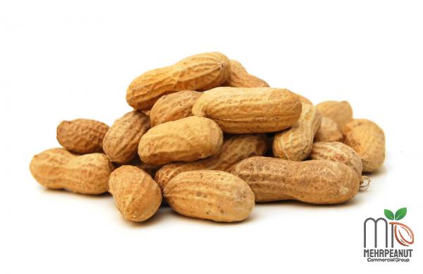 Unsalted Peanuts Global Market 