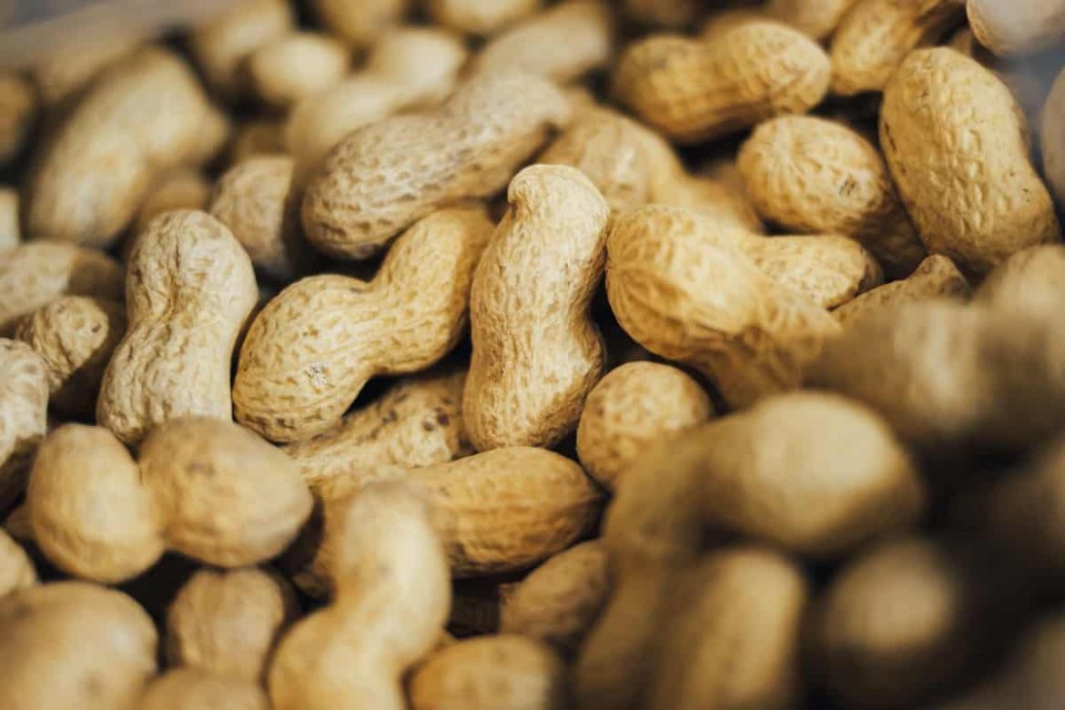 High quality peanuts in shell