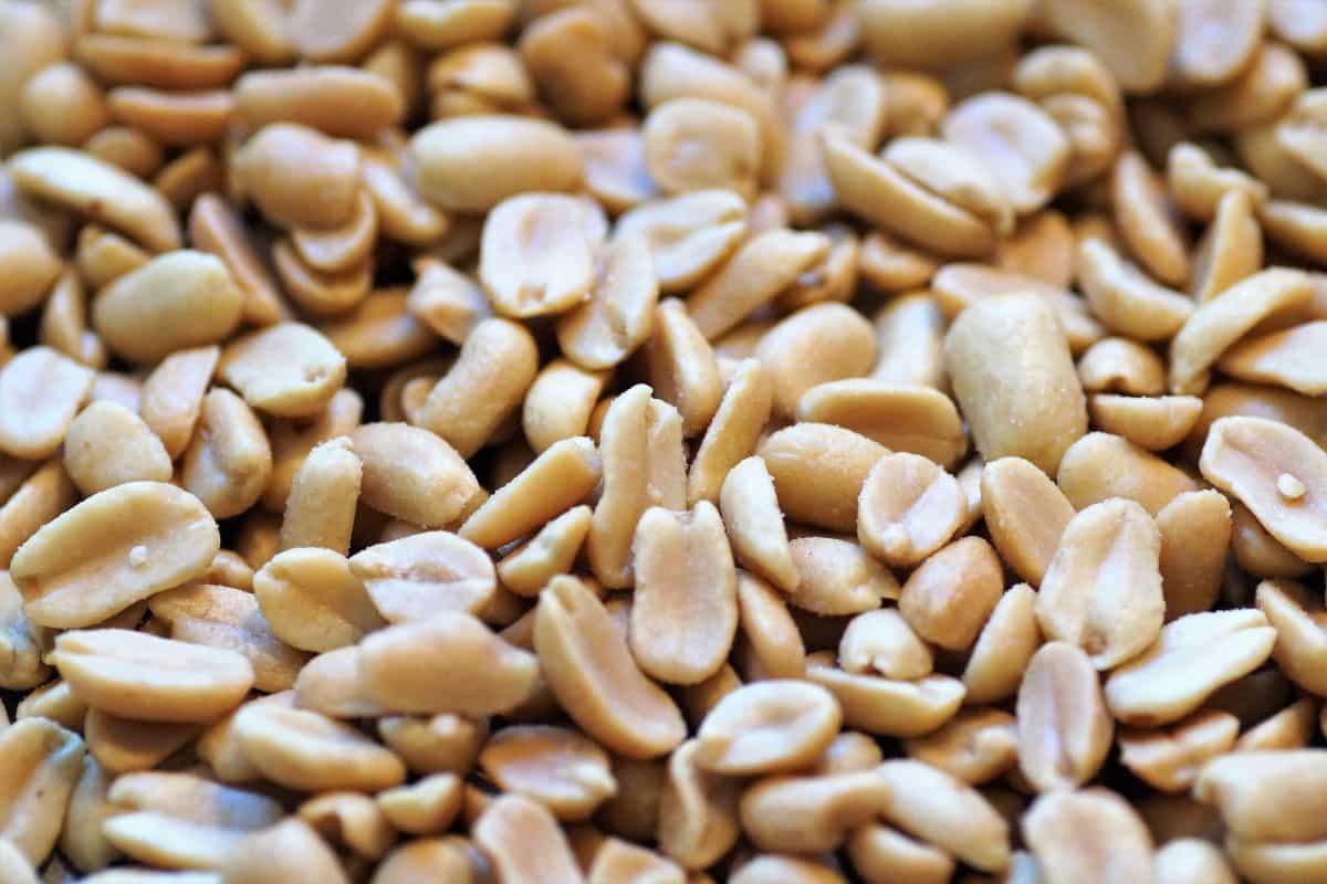  Roasted Peanut in Bangladesh; High Calorie 4 Types Runner Virginia Spanish Valencia 