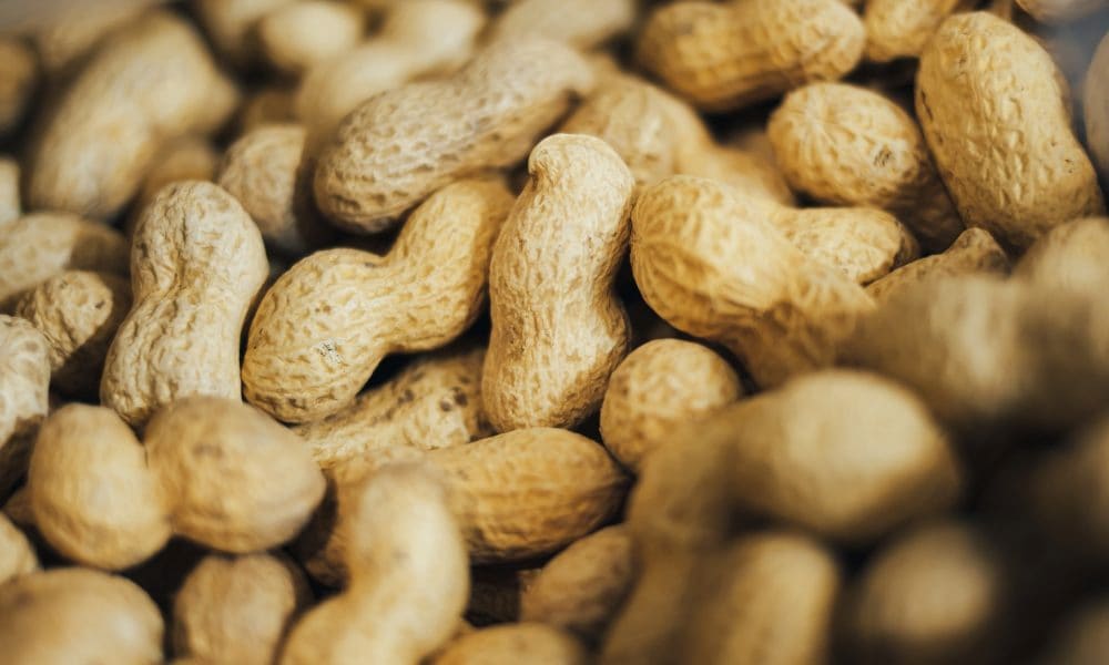  red peanut products purchase price + quality test 