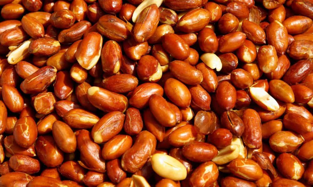  red peanut products purchase price + quality test 