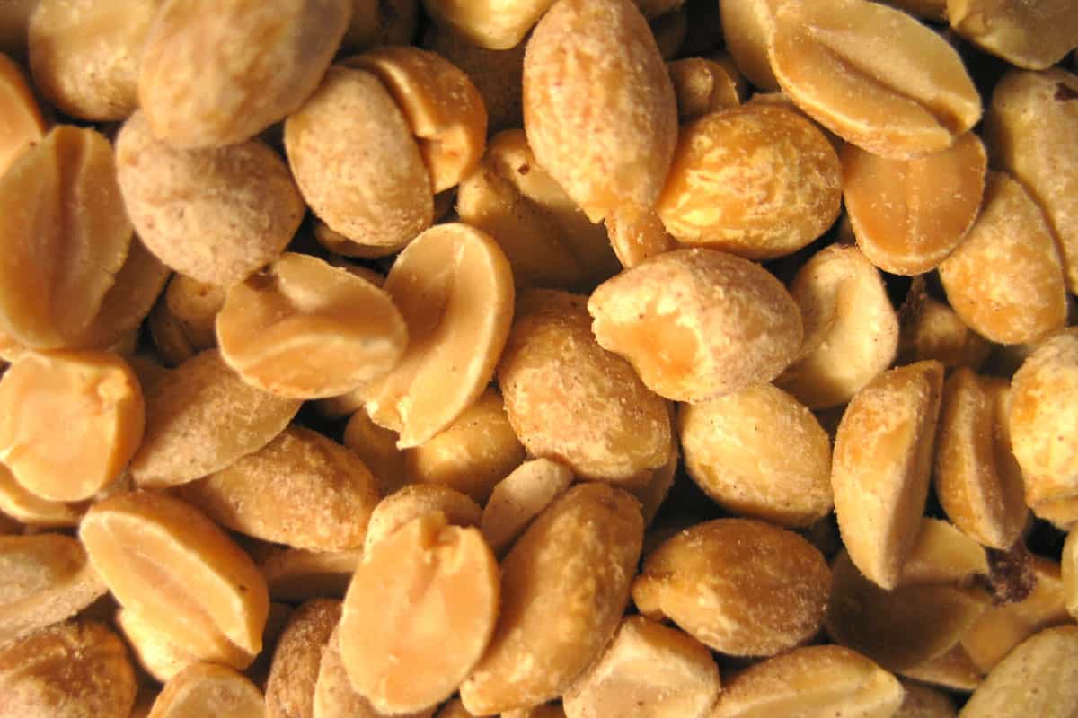 Roasted Peanuts Per Lb; Antioxidant Protein Source 4 Types Unshelled Shelled Boiled Raw 