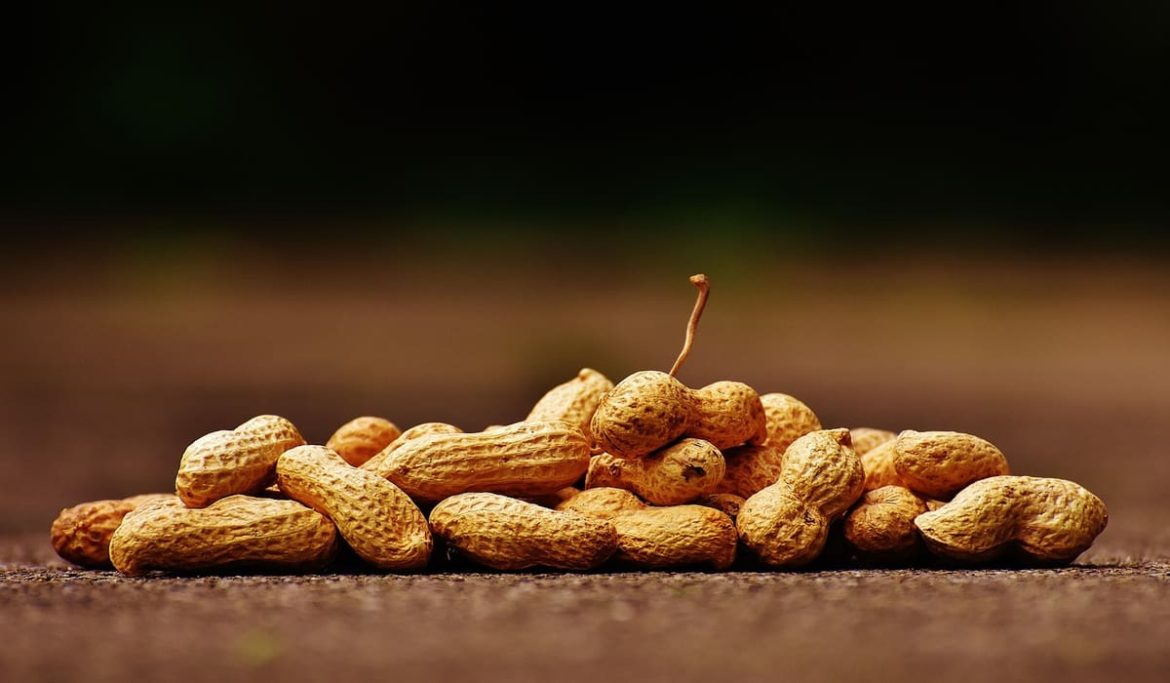 Purchase And Day Price of boiled peanuts