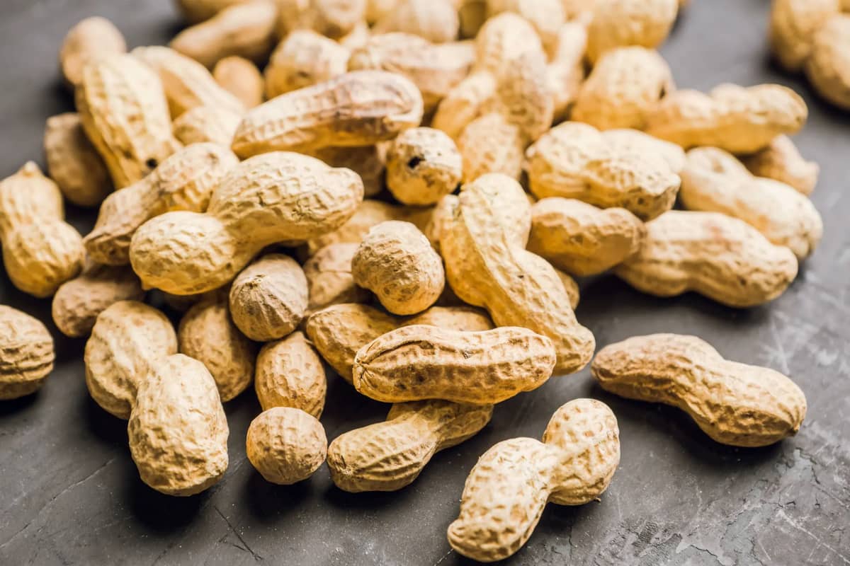  Raw Peanut in Pakistan; Red Skin Chest Softener Manganese Phosphorus Vitamin E Source 