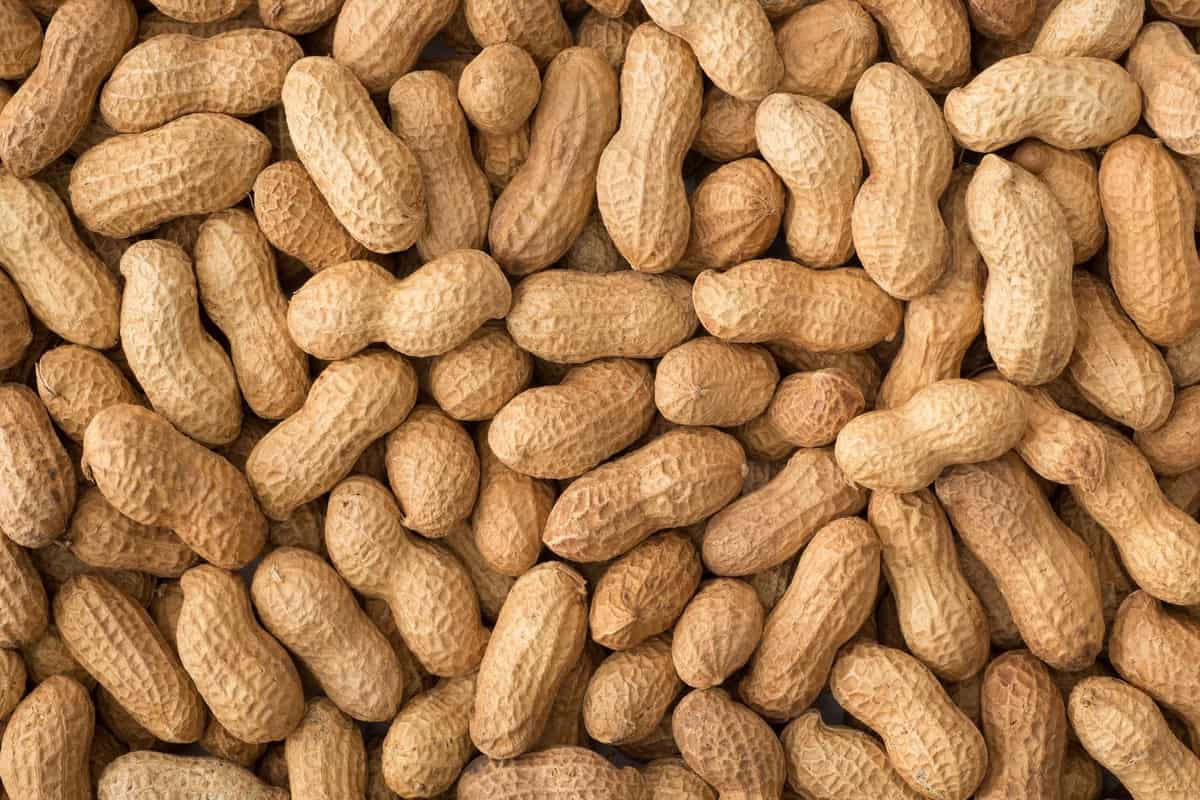  1 Kg Peanut in Pakistan; Pimples Remover Protein Source Energy Producer 