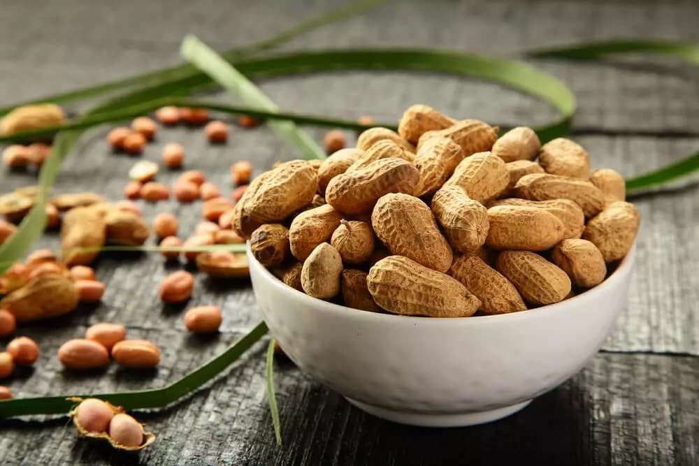  Introducing red peanut kernels + the best purchase price 