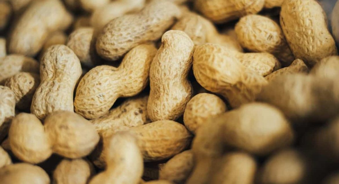 Getting to know valencia peanut + the exceptional price of buying valencia peanut