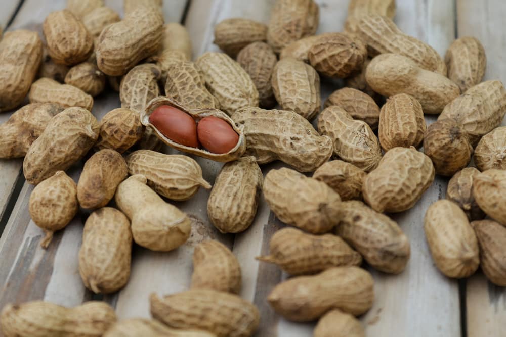  Peanut Countries Purchase Price + Sales In Trade And Export 