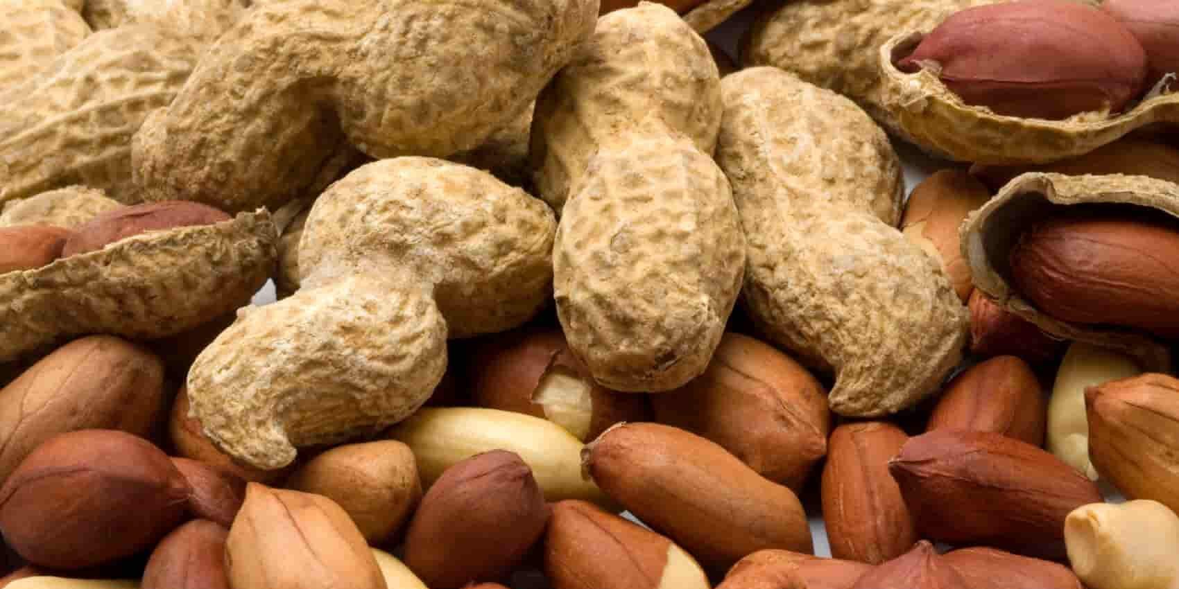  The Price of 2kg Peanuts + Purchase and Sale of 2kg Peanuts Wholesale 