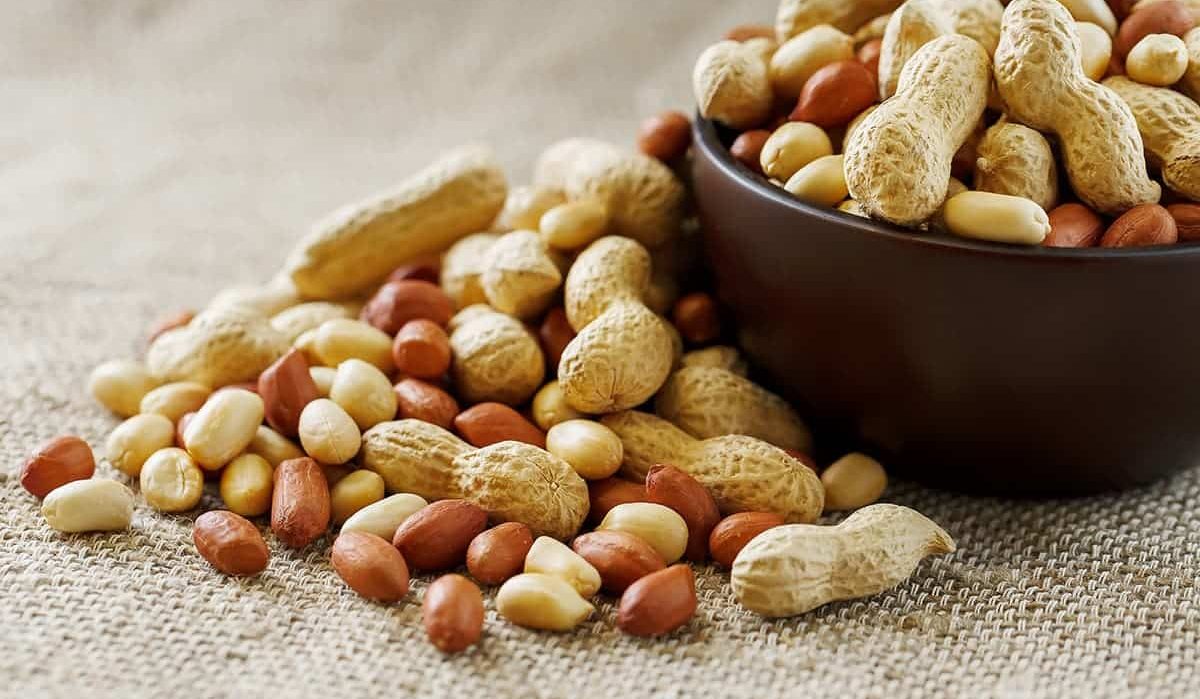  Stale peanuts in the shell price list in 2023 