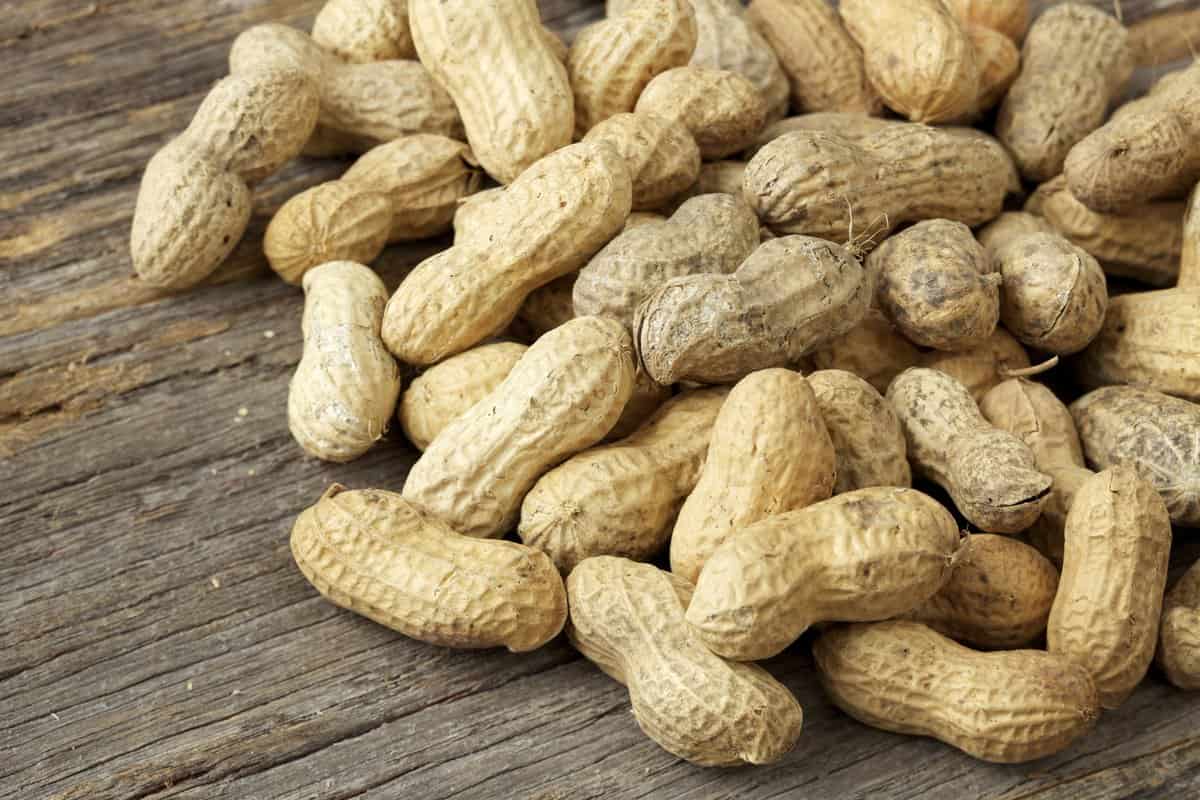  peanut tree cultivation for business goals 