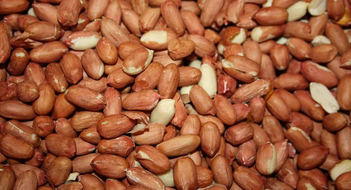  Buy the best types of Raw peanuts 1kg at a cheap price 