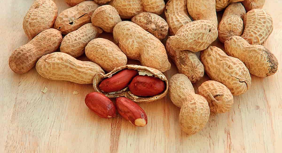  Red skin raw peanuts benefits for sale 