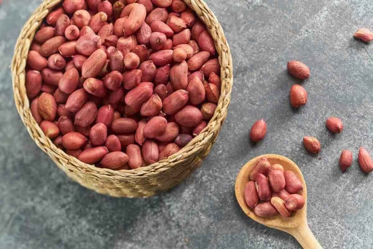  Raw Peanut in Nepal (Monkey Nut) Lower Cardiovascular Disease Stroke Contain Phosphorus 