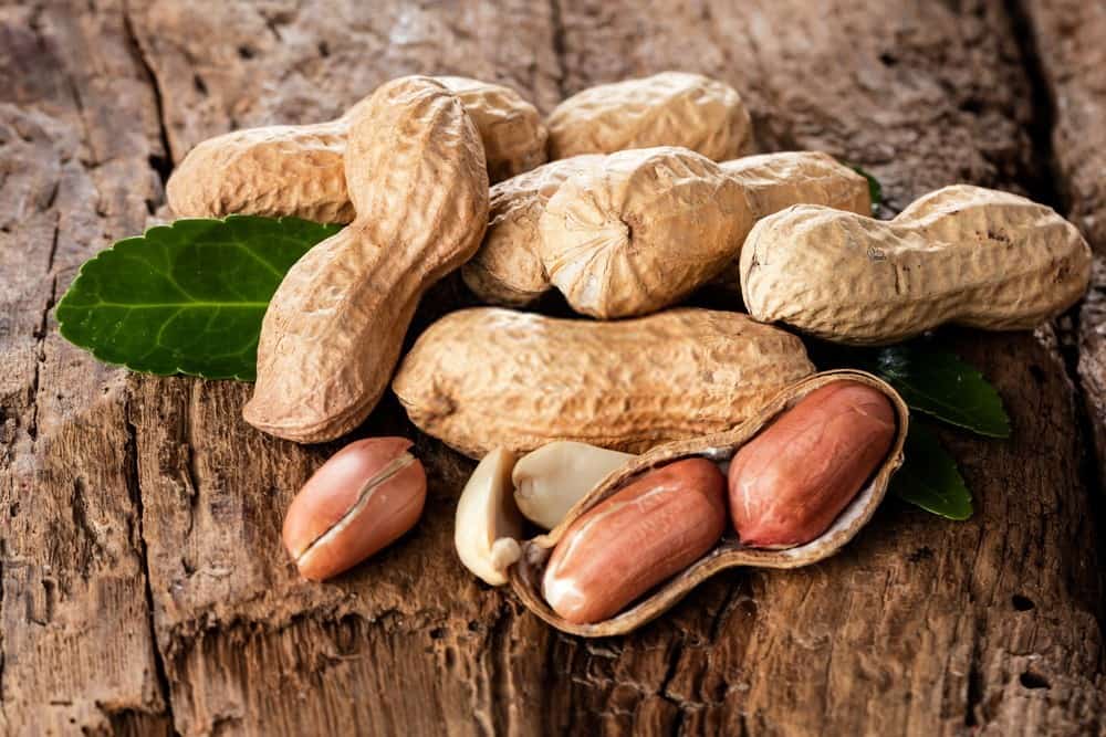  Are Peanut Shells Edible (Can You Eat) 