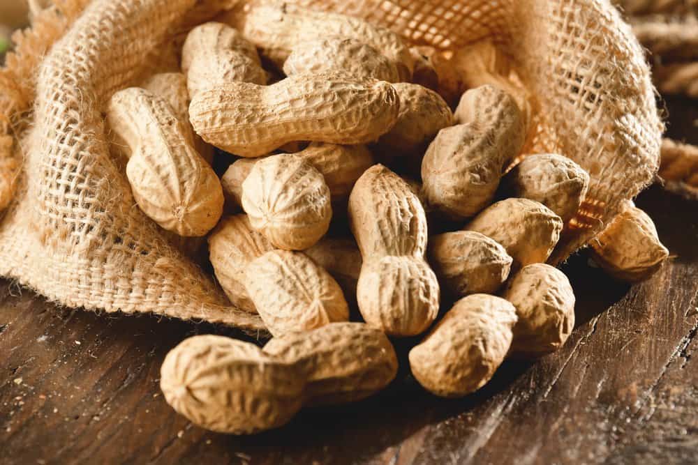  Are Peanut Shells Edible (Can You Eat) 