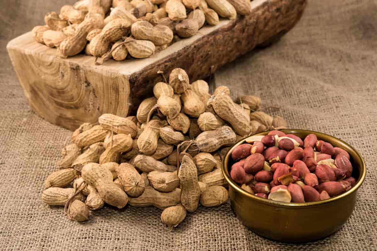 Raw Peanut in Nepal (Monkey Nut) Lower Cardiovascular Disease Stroke Contain Phosphorus 