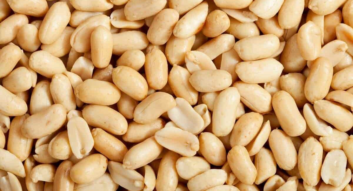  Buying Guide of Blanched unblanched peanuts + Great Price 