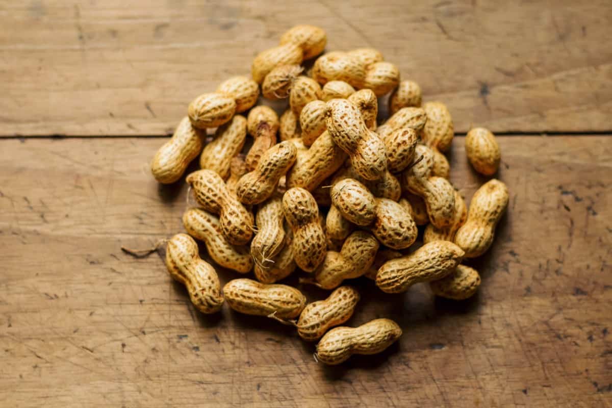  Peanut in India; Crispy Texture 3 Types Bolds Javas Red Natals (Nutrient Rich) 