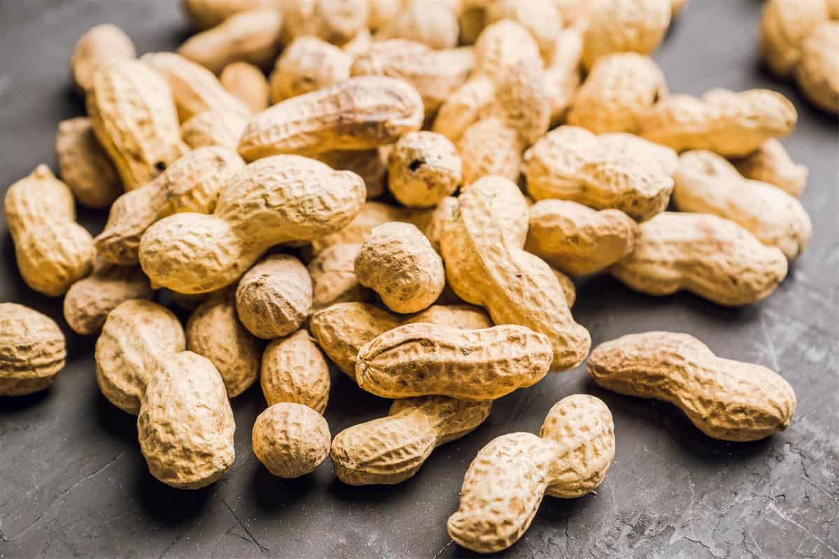  Peanut in India; Crispy Texture 3 Types Bolds Javas Red Natals (Nutrient Rich) 