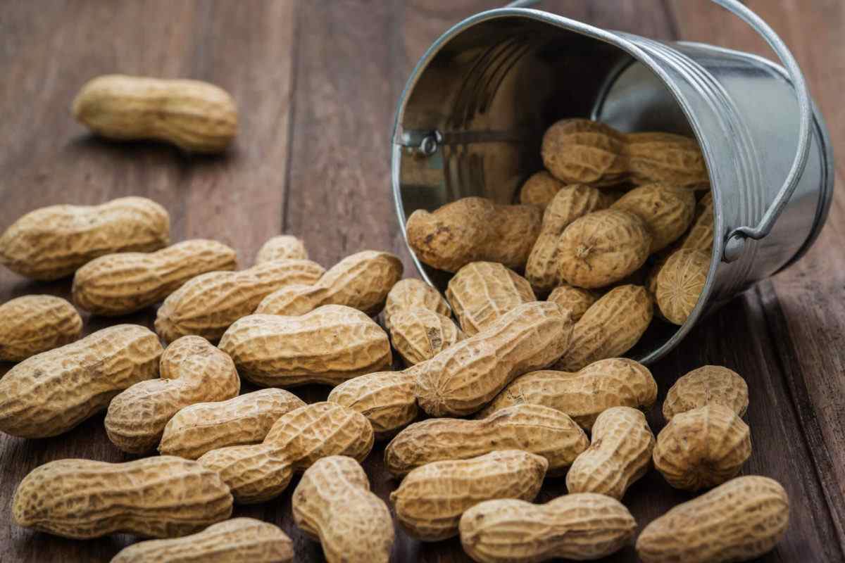  Online Raw Peanuts Purchase Price + Quality Test 