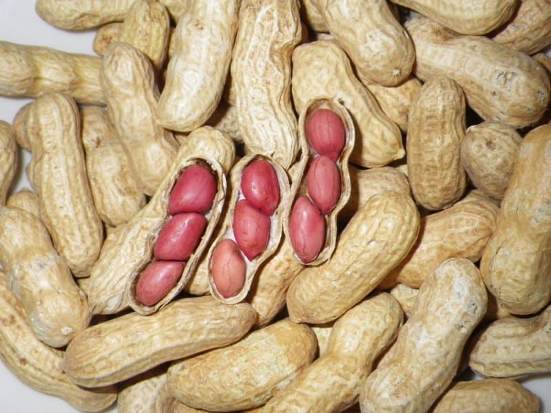  Buy Best Peanut Brittle companies price in the world 
