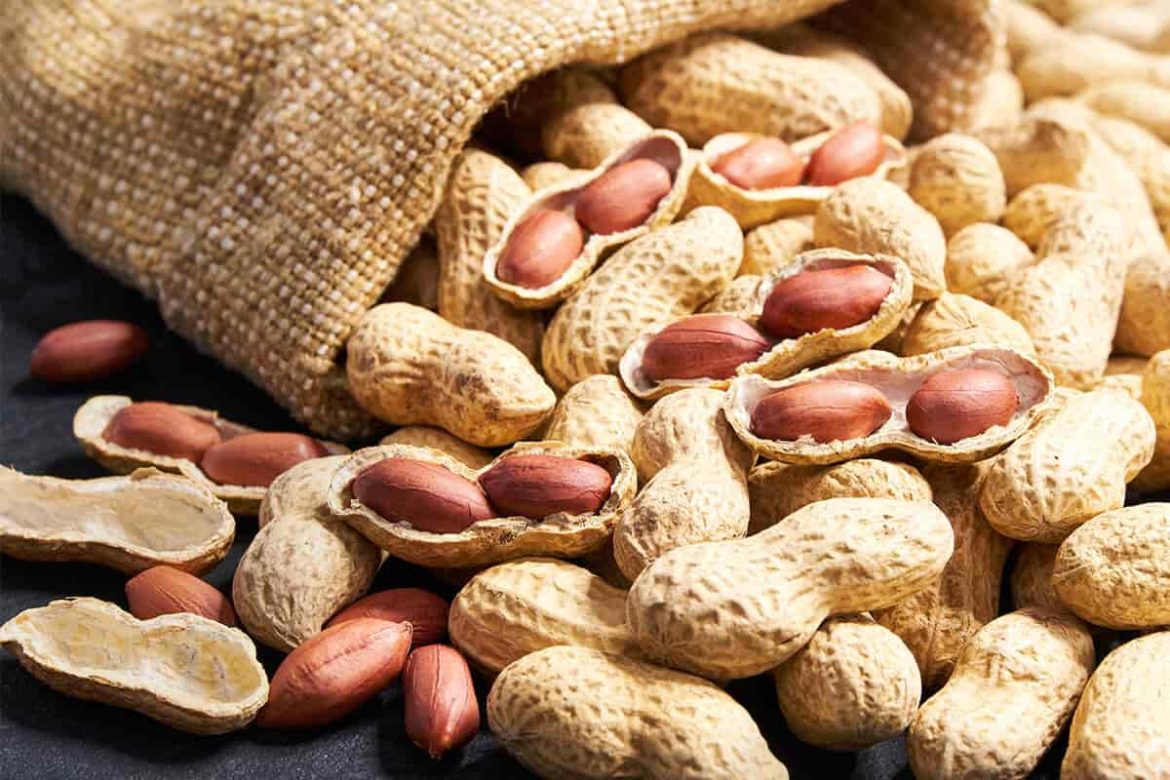 Peanut in Sri Lanka (Groundnuts) Great Taste Economical Nut