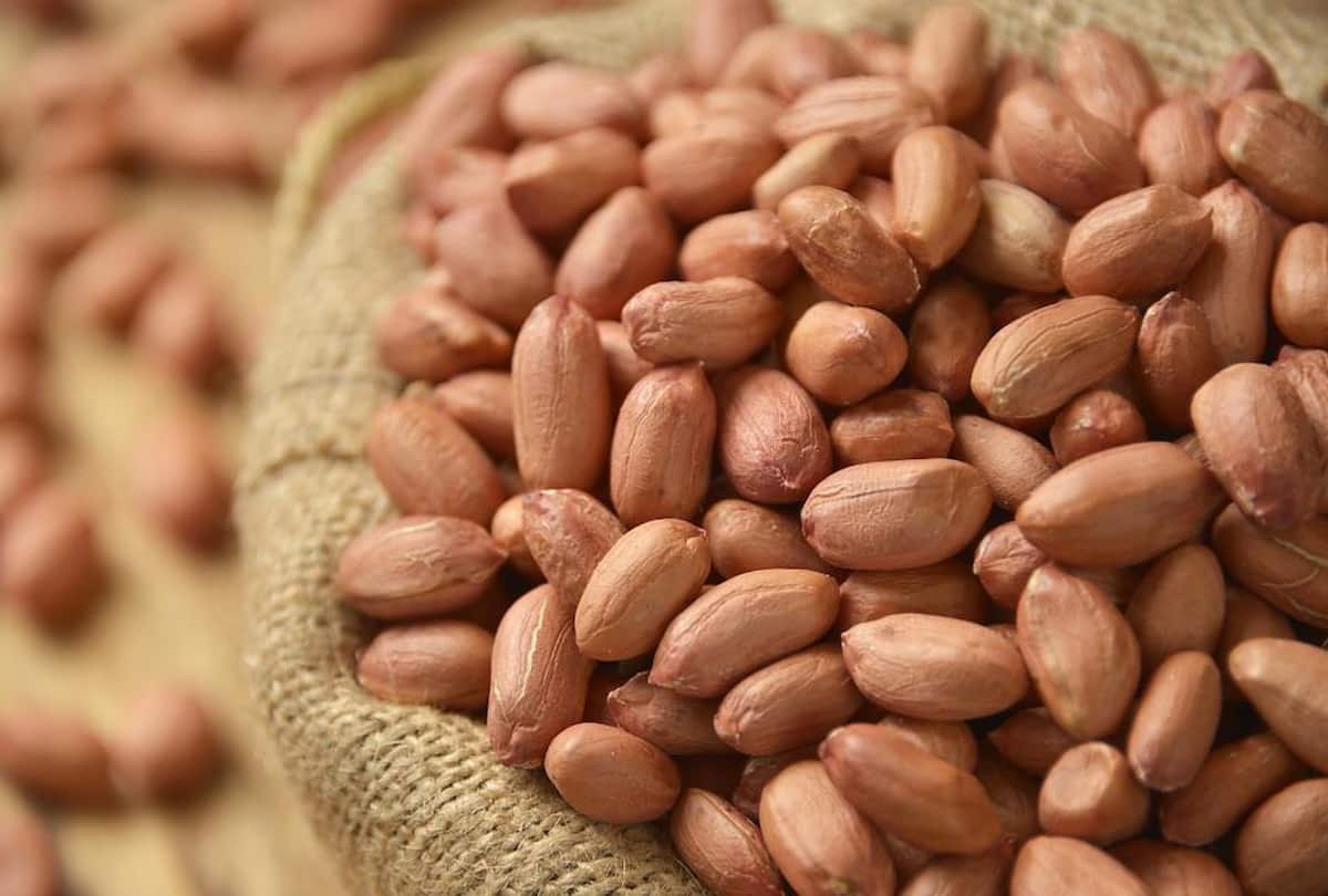  Raw Peanut in Kolkata (Pindar) Phosphorus Fiber Vitamin E Folic Acid Thiamin 