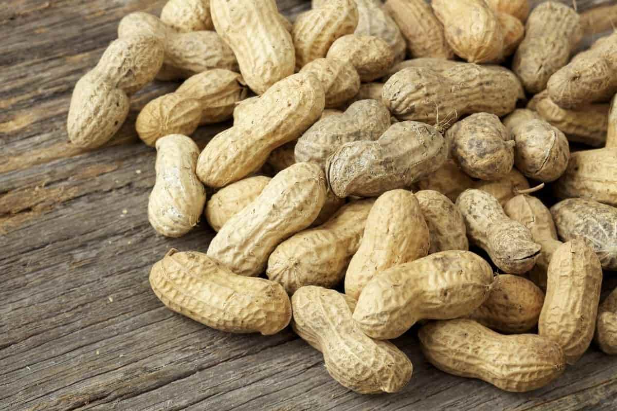  Getting to know unsalted peanut + the exceptional price of buying unsalted peanut 