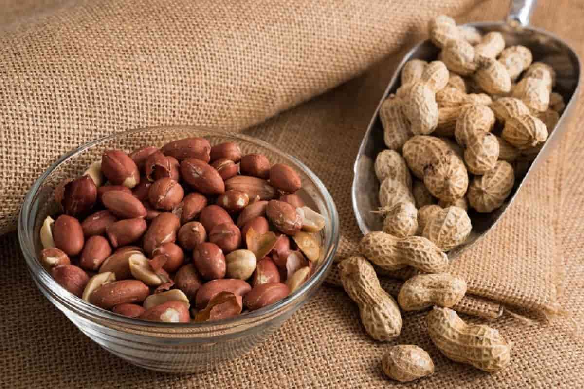  Peanut in Nepal; Vitamin E Magnesium Protein Fatty Acids Source Reduce High Cholestrol 