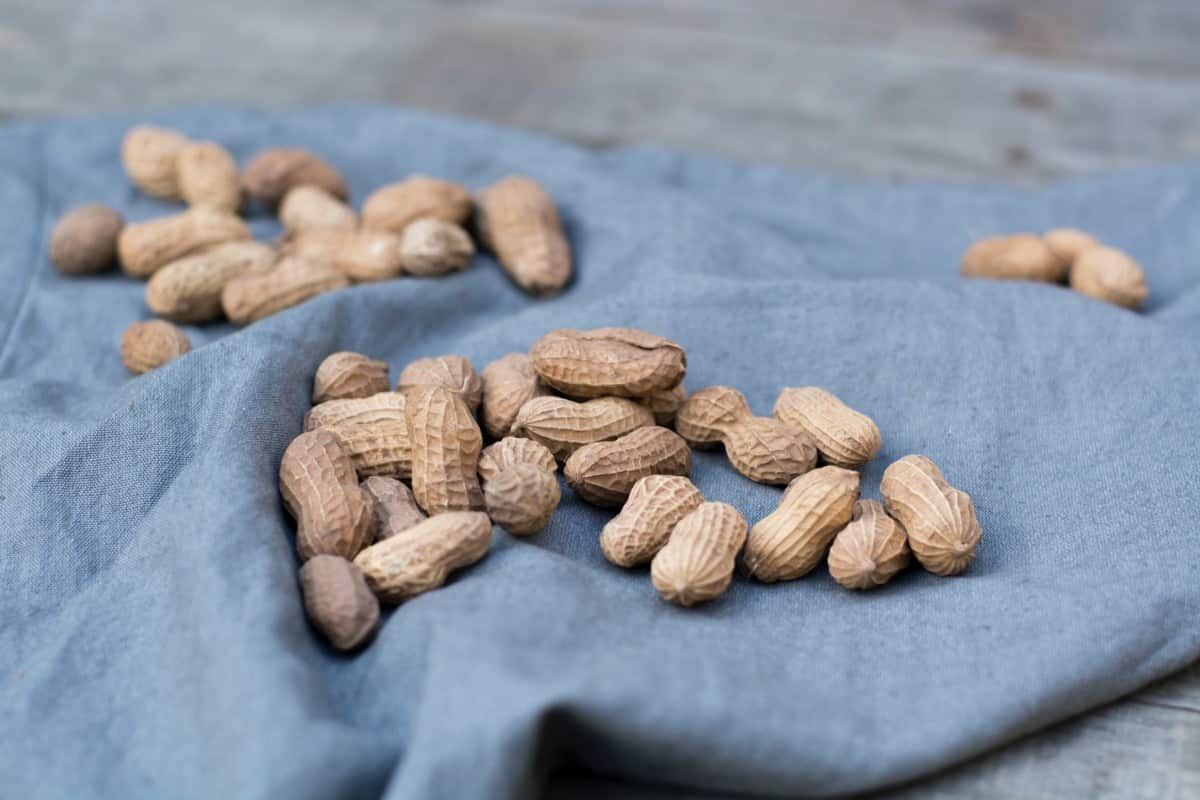  Growers Peanuts; Iron Magnesium Protein Source Vitamins E B (Lower Cholesterol) 