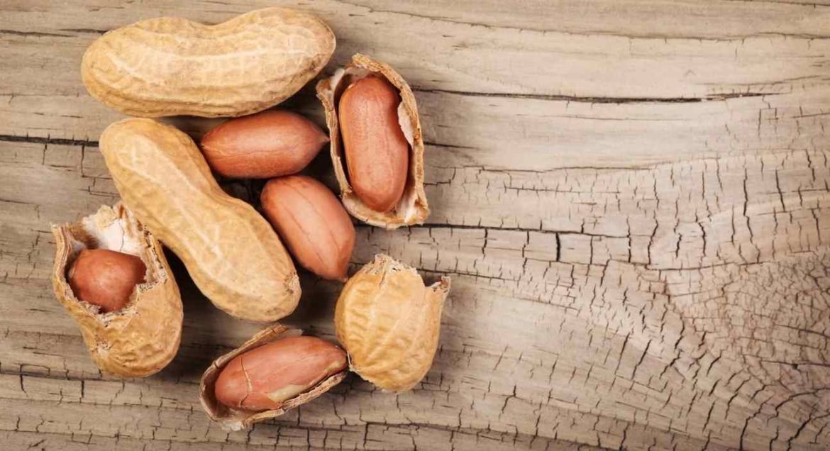 Price References of Types of Peanuts in Shells + Cheap purchase