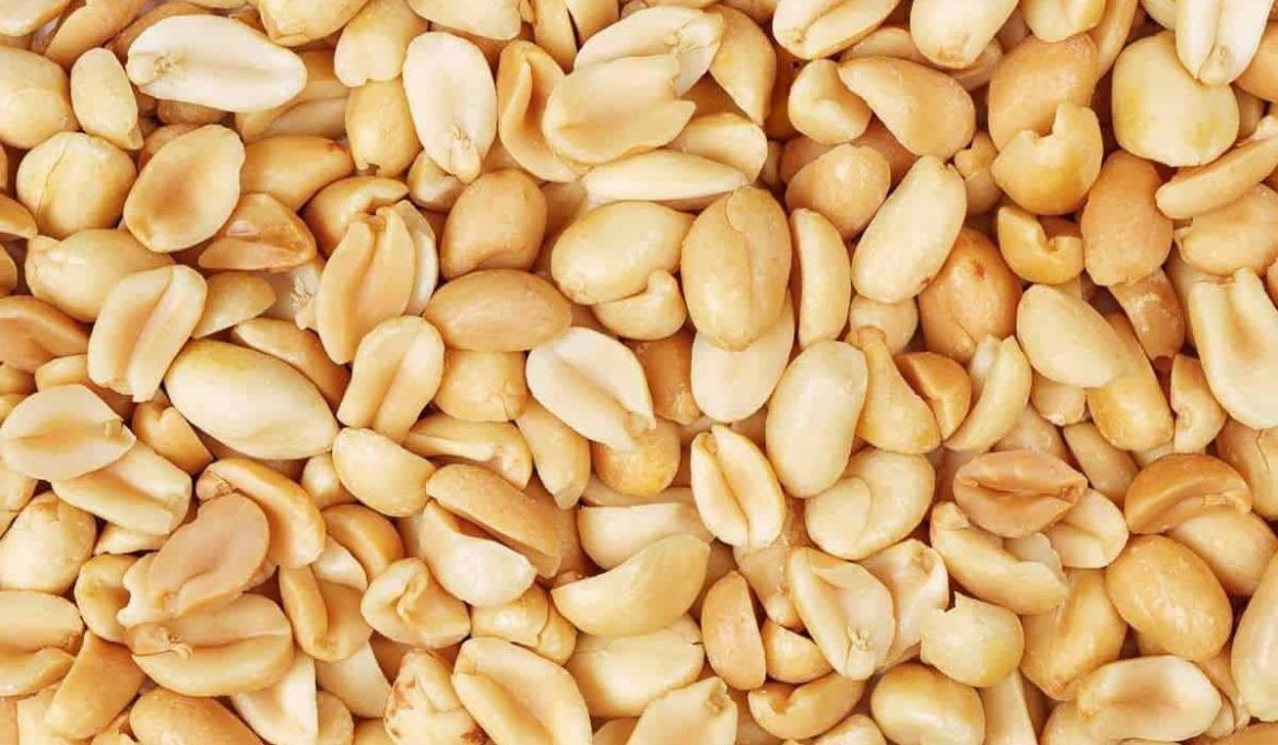 Getting to know roasted peanuts + the exceptional price of buying roasted peanuts